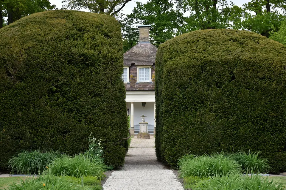 Gepflegte Hecken entlang eines Weges zum Haus